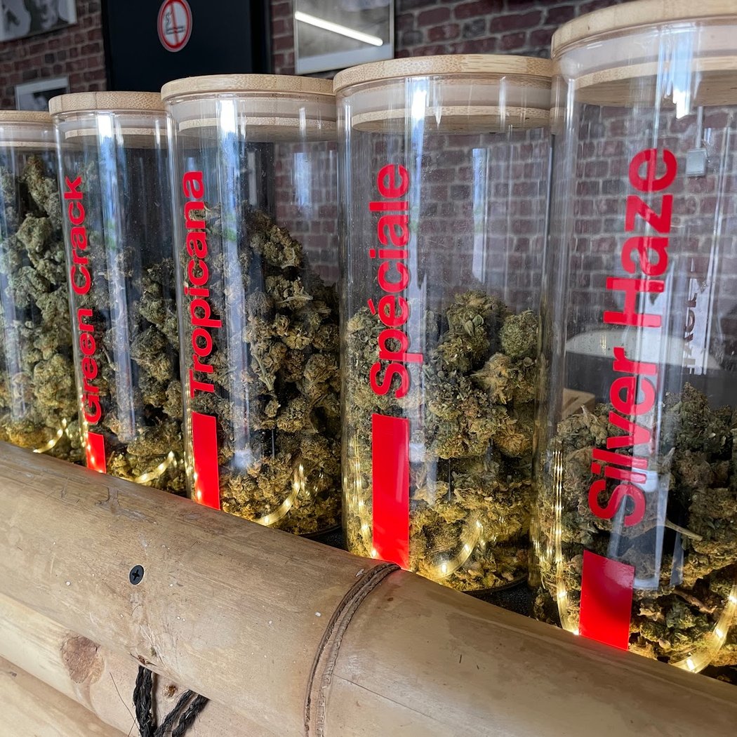 CBD RAMBOUILLET - KALIKUSH. 1